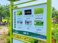 -稻梦空间冰雪小镇