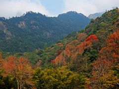 -祁门牯牛降观音堂风景区