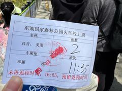 -合肥滨湖国家森林公园