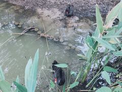 -长兴太湖图影湿地文化园