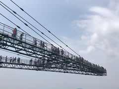 -梦幻奥陶纪景区