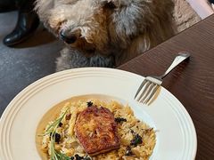 -沏点Trattoria意大利餐厅(新街口店)