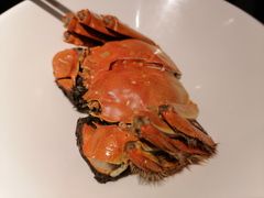 昙卤蟹-汪爹爹武汉牛三鲜(朝外大街店)