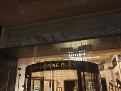 -成都保利公园皇冠假日酒店(熊猫基地店)