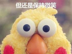 -北京老铺烤鸭(老城根店)