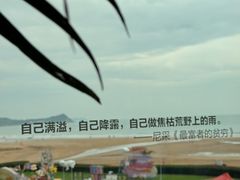 -青岛朗艺美术馆·海景咖啡