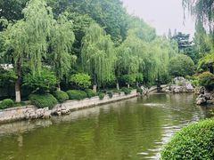 -南京中国近代史遗址博物馆(南京总统府)