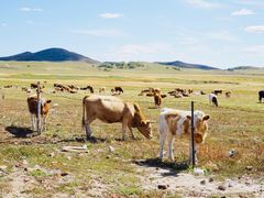-塞罕坝国家级自然保护区