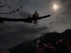 -井空里大峡谷
