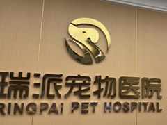 -瑞派康怡24h宠物医院·犬猫医疗中心·微创绝育(瑞景分院)