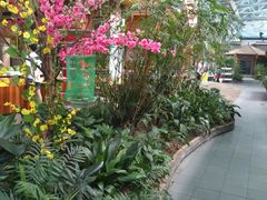 -森谷美食公园(杨行店)