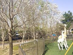 -朝阳公园游乐园