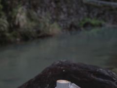 -MOJ coffee(瓯海泽雅水碓坑店)