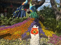 -翠湖公园