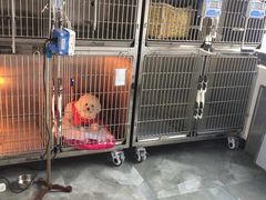 -谐和贝康宠物医院24小时·宠保定点(急重症转诊中心)