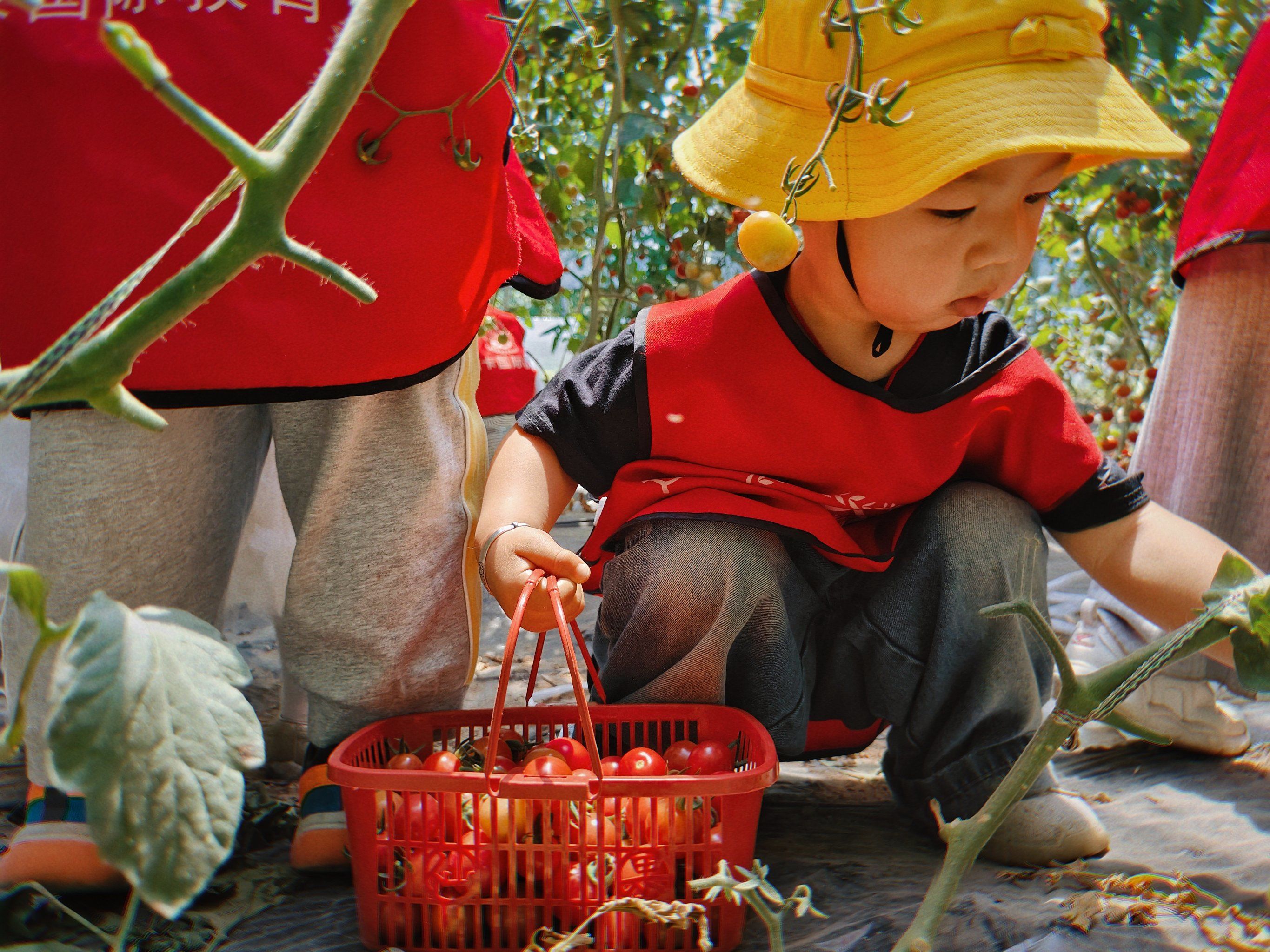 亲子采摘趣玩 ❤️迪卡研学
自然美育课堂