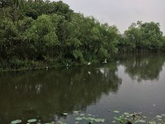 -新江湾城公园