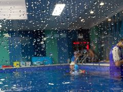 -Swim斯卫姆国际儿童游泳中心(红博中央公园店)