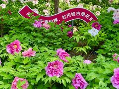 -太阳宫公园