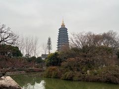 -红梅公园