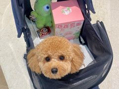 -爱玩嘉年华(龙湖源著天街店)