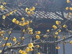 -无锡梅园公园