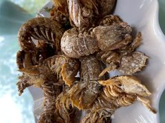 -舟山小海鲜大排档(稻香新村店)
