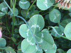 -青岛沙子口国家中心渔港