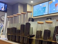 -雾与山茶(大禹城店)