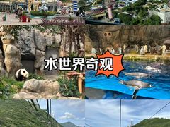 -香港海洋公园