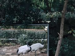 -杭州动物园