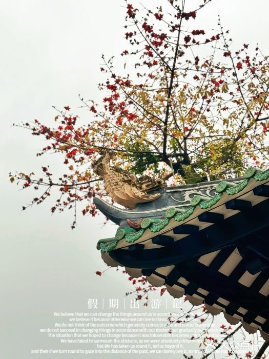 光孝寺图片