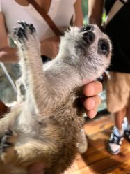 -Zoolung Zoolung动物主题公园(海信广场店)