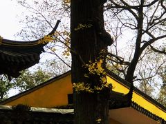 -虞山风景区