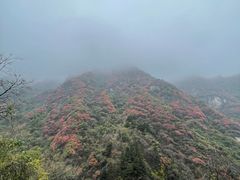 -秦岭终南山世界地质公园翠华山景区