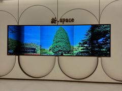 -宋庆龄陵园