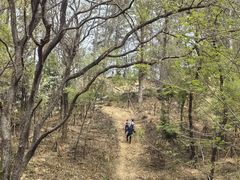 -青龙山国家森林公园