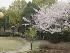 -河海大学(江宁校区)