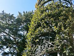 -三鹰之森吉卜力美术馆