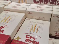 -关西国际机场直营免税店