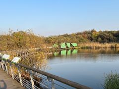 -西湖风景区-江洋畈生态公园