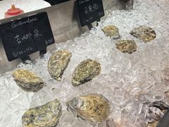 -Oyster Talks 四度蚝法餐厅