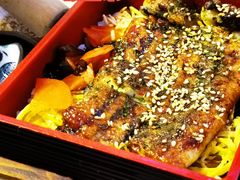 自制活鳗鱼盖饭-鳗鱼家·深夜食堂(军博店)