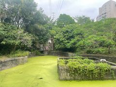 -庆丰农庄·团建·农家菜(大浪店)