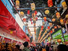 -越秀西湖花市(广州城市广场花卉店)