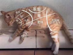 -大喜牛鲜牛肉火锅(世纪金源店)