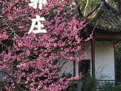 -郭庄景区