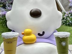 -宝藏绿洲(万象前海店)