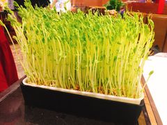 -捞神汤物料理(正大广场店)