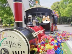 -上海鲜花港